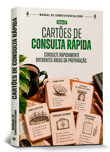 Mockup do bônus 05: CARTÕES DE CONSULTA RÁPIDA